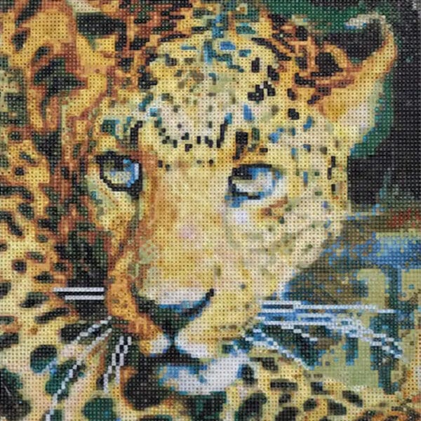 DIY Diamond Picture kit 30x30Cm