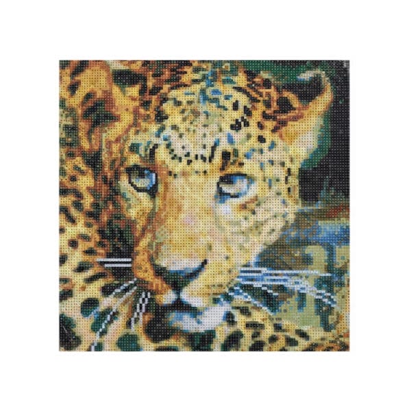 DIY Diamond Picture kit 30x30Cm
